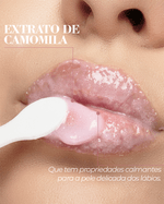 BT Lipscrub