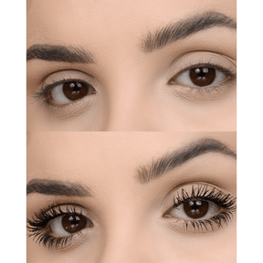 BT Wonderlash